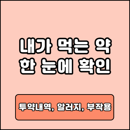 투약내역 조회하기 방법 알러지 의약품 부작용 확인